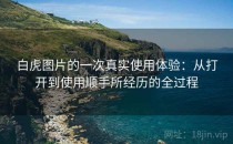 白虎图片的一次真实使用体验：从打开到使用顺手所经历的全过程