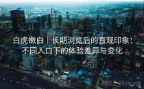 白虎嫩白｜长期浏览后的直观印象：不同入口下的体验差异与变化