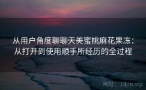 从用户角度聊聊天美蜜桃麻花果冻：从打开到使用顺手所经历的全过程