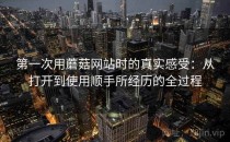第一次用蘑菇网站时的真实感受：从打开到使用顺手所经历的全过程