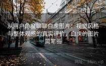 从用户角度聊聊白虎图片：视觉风格与整体观感的真实评价，白虎的图片简笔画