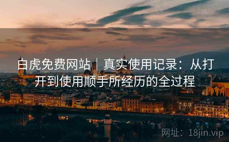 白虎免费网站｜真实使用记录：从打开到使用顺手所经历的全过程  第2张