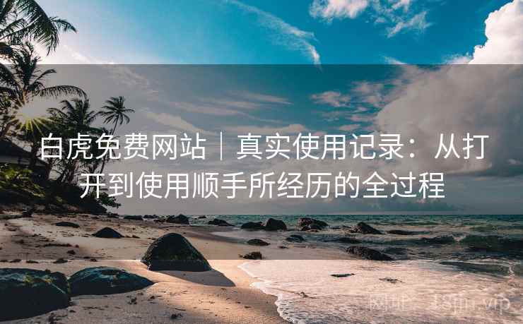 白虎免费网站｜真实使用记录：从打开到使用顺手所经历的全过程  第1张