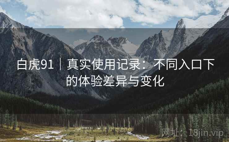 白虎91｜真实使用记录：不同入口下的体验差异与变化  第2张
