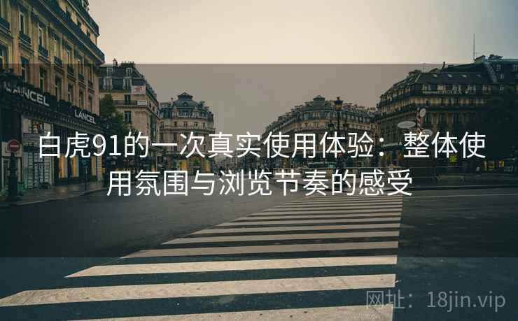 白虎91的一次真实使用体验:整体使用氛围与浏览节奏的感受 第1张 白虎91的一次真实使用体验:整体使用氛围与浏览节奏的感受 第1张