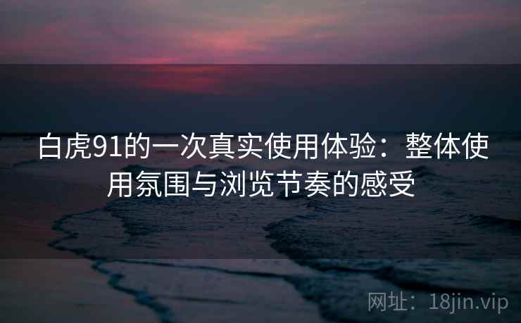 白虎91的一次真实使用体验:整体使用氛围与浏览节奏的感受 第2张 白虎91的一次真实使用体验:整体使用氛围与浏览节奏的感受 第2张